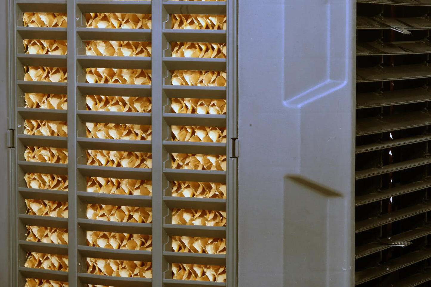 Bluechip Cool Tower 100 (18" Domestic Air Cooler) - Where Performance Meets Sharpness.