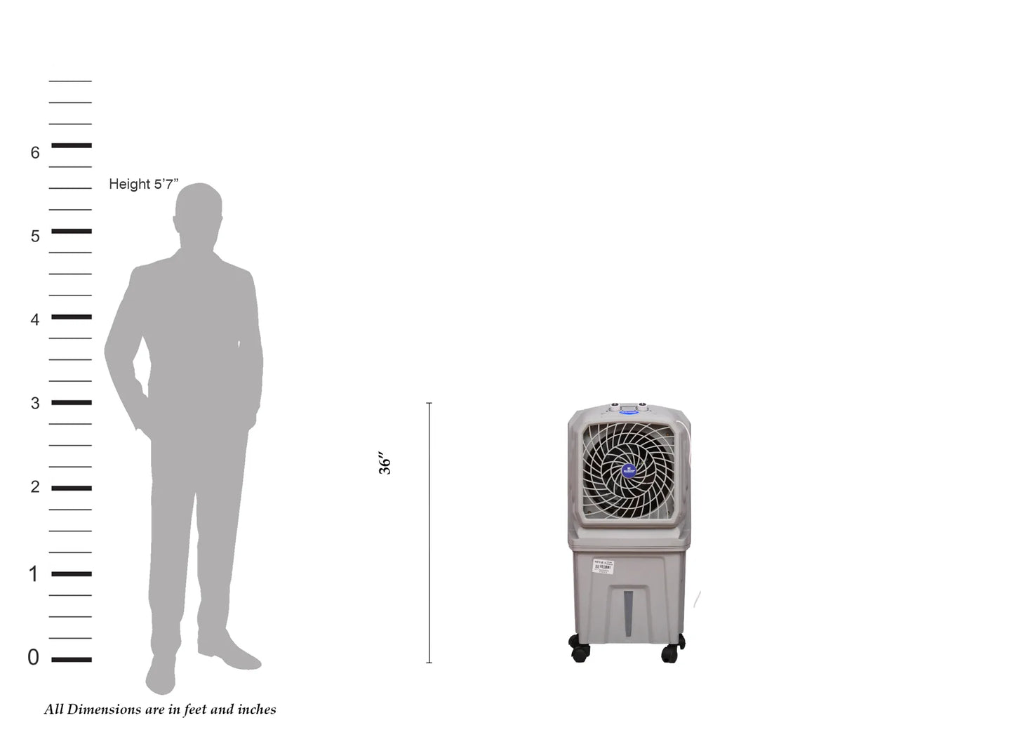 Bluechip Titan 50 | 12" Commercial Air Cooler